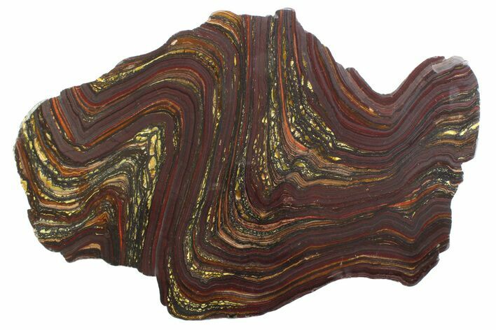 Polished Tiger Iron Stromatolite Slab - Billion Years #354945